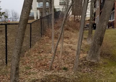 fence line before 4 400x284 - Apartment Complex Landscape