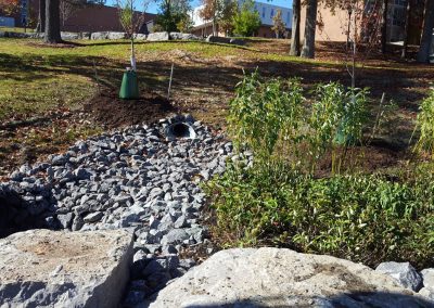 suny stormwater planning 3 400x284 - SUNY Stormwater Plantings
